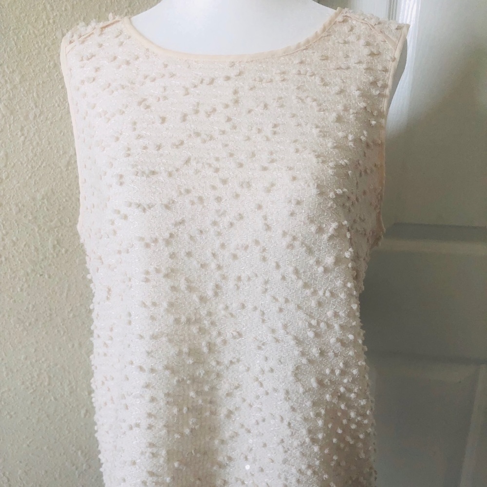 Ann Taylor blouse